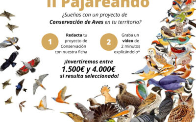 Birding Aragón moviliza al territorio rural para conservar sus aves