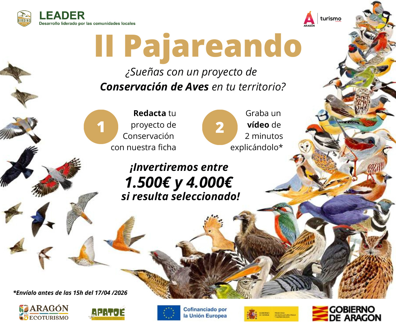 verderon-serrano-aves-emblematicas La convocatoria 2026 del Proyecto Piloto “Pajareando” se abre el 3 de marzo, Día Mundial de la Vida Silvestre, para impulsar nuevas iniciativas de conservación en Aragón