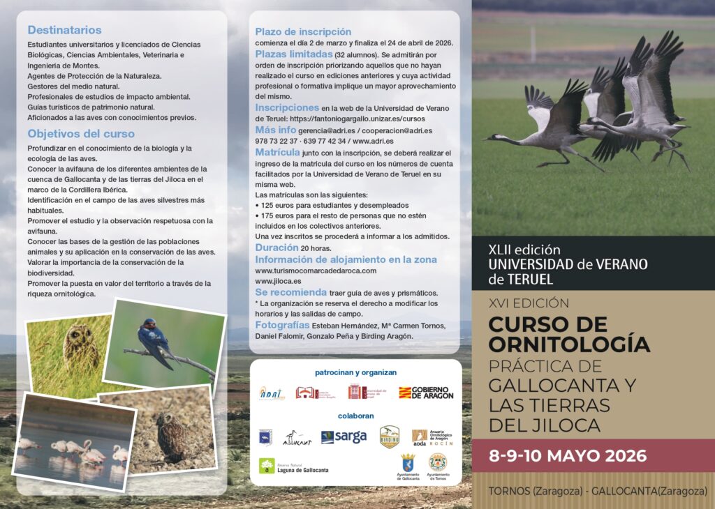 Curso de ornitología de las tierras de Gallocanta y Jiloca.