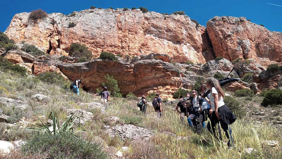 verderon-serrano-aves-emblematicas La Laguna de Gallocanta volverá a convertirse, los días 8, 9 y 10 de mayo de 2026, en un aula al aire libre. El Curso de Ornitología Práctica de Gallocanta y las Tierras del Jiloca celebrará su XVI edición