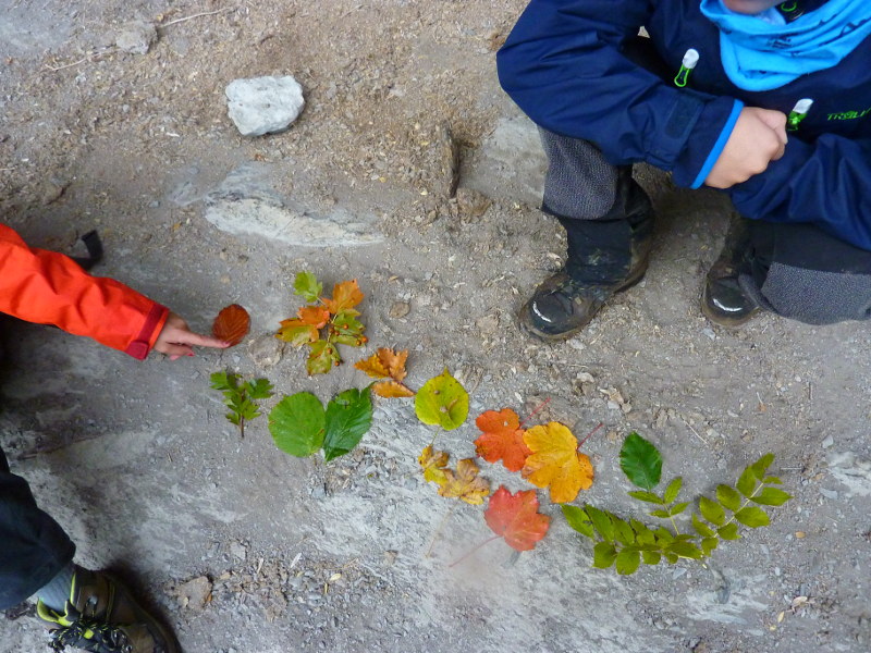 Baretón Ansó. Empresa de actividades de montaña y naturaleza ubicada en Ansó.