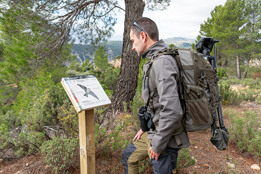 mapa Ruta de los Pajaricos – Andorra Sierra de Arcos