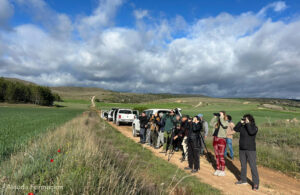 Imagen del curso de ornitología práctica. © Alauda Formación