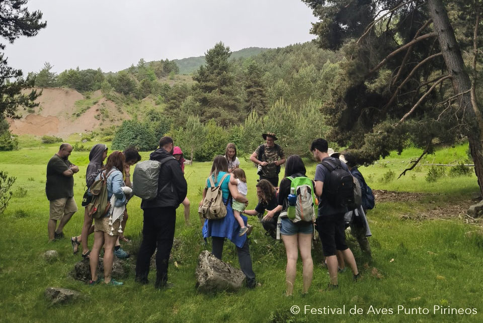 El Festival de Aves Punto Pirineos 2026 regresa del 22 al 24 de mayo