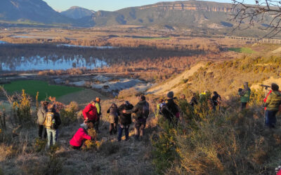 Birding Aragón selecciona el proyecto ganador de “Pajareando” 2026 entre doce iniciativas rurales