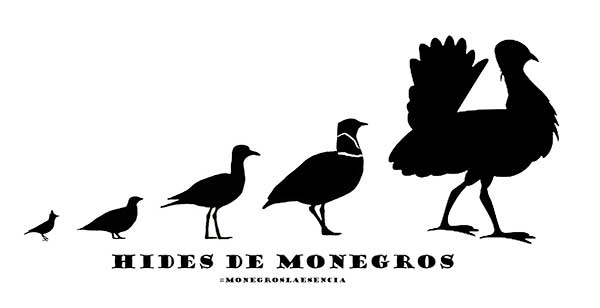 Hides de Monegros