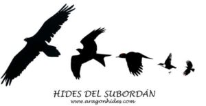 Hides del Subordán