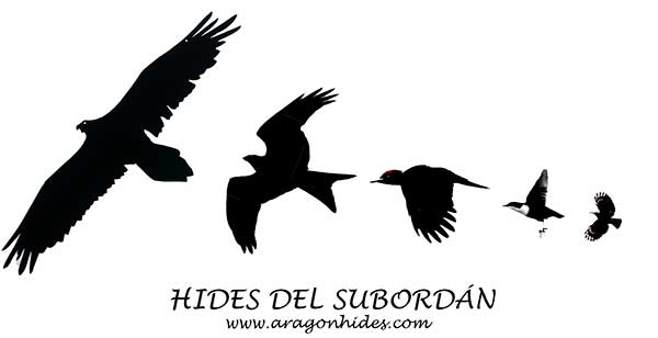 Hides del Subordán