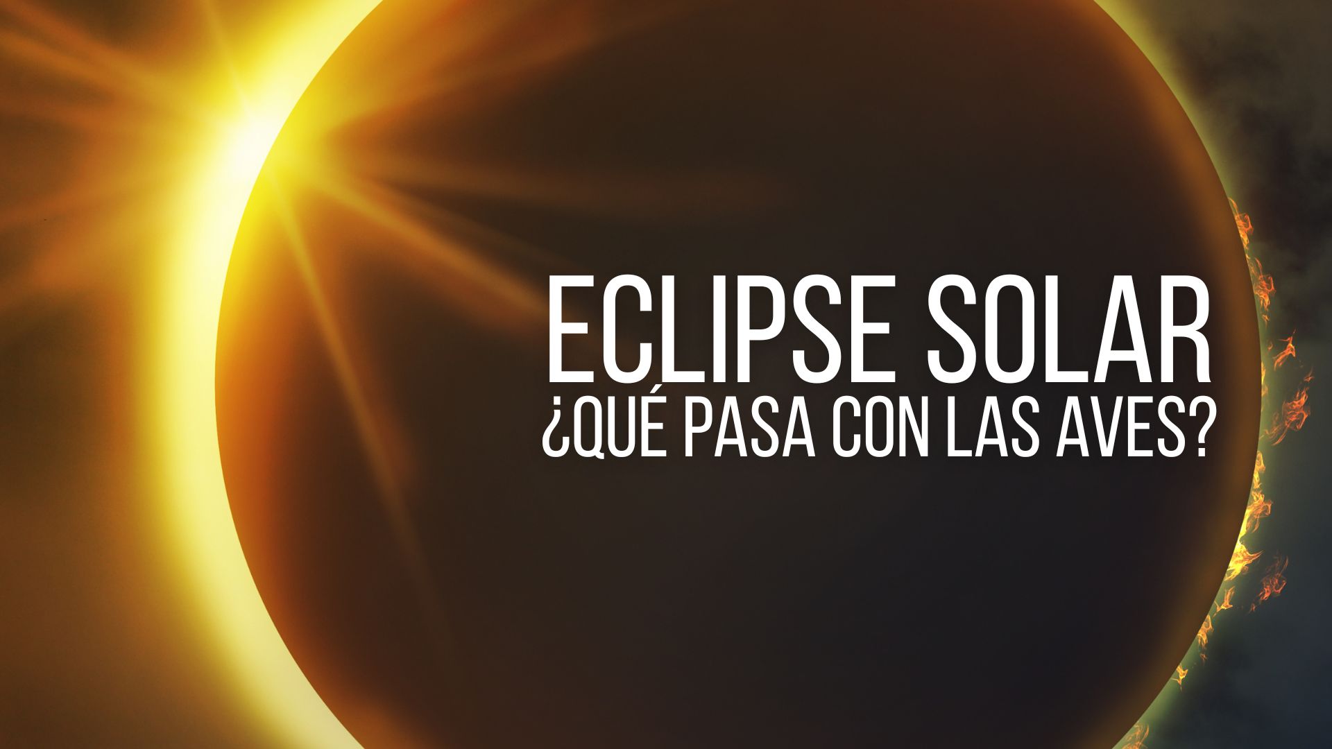 Si vas a observar el eclipse, dedica unos minutos a registrar lo que ocurre a tu alrededor